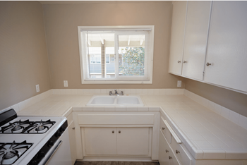 Gas range stoves